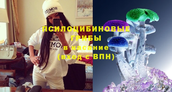 сатива Ладушкин