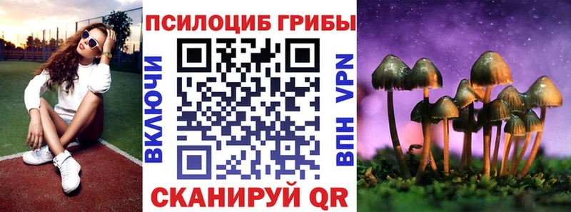 Галлюциногенные грибы Psilocybine cubensis  купить  сайты  Тетюши 